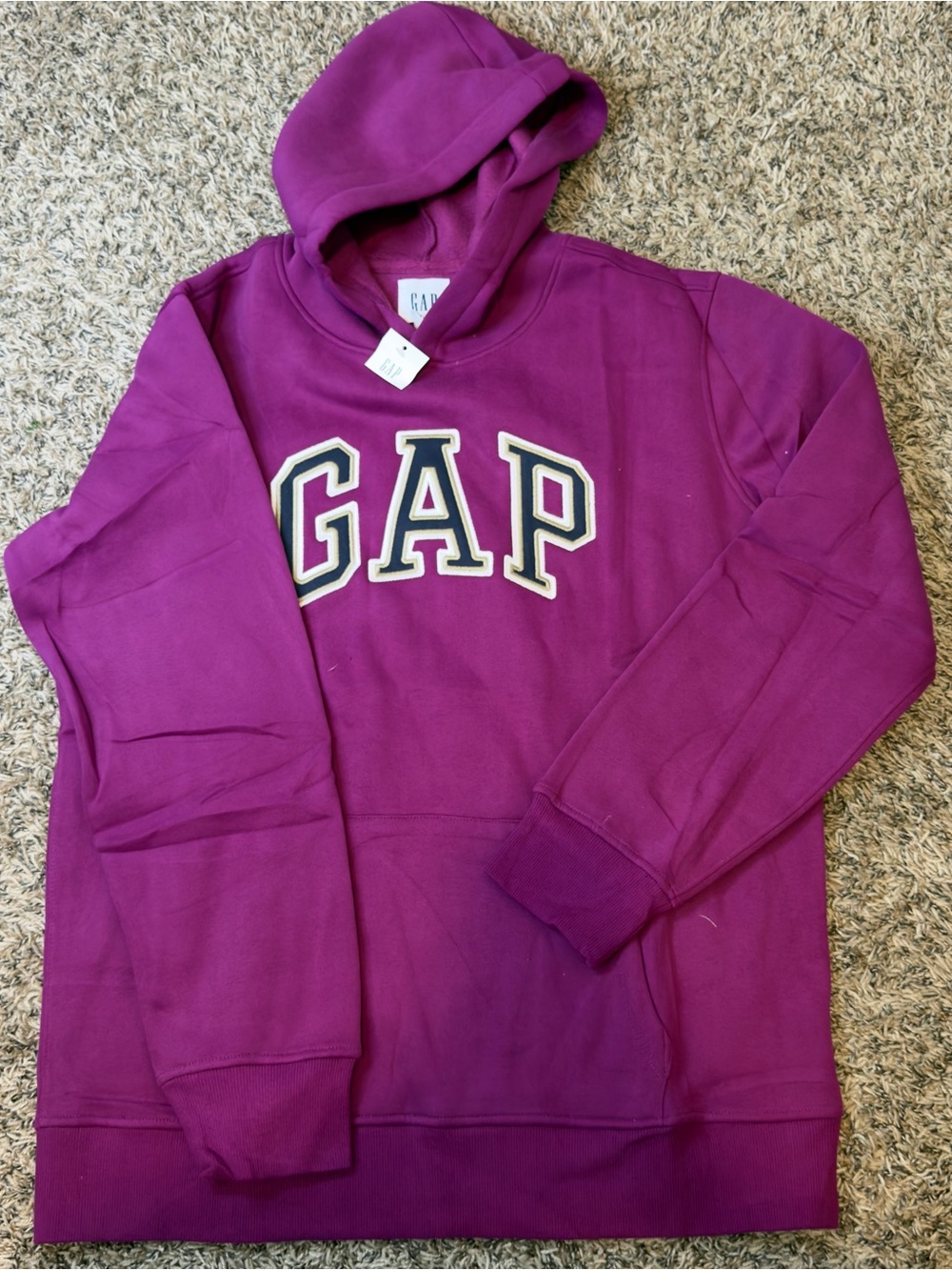 GAP Hooded Sweatshirt in Magenta